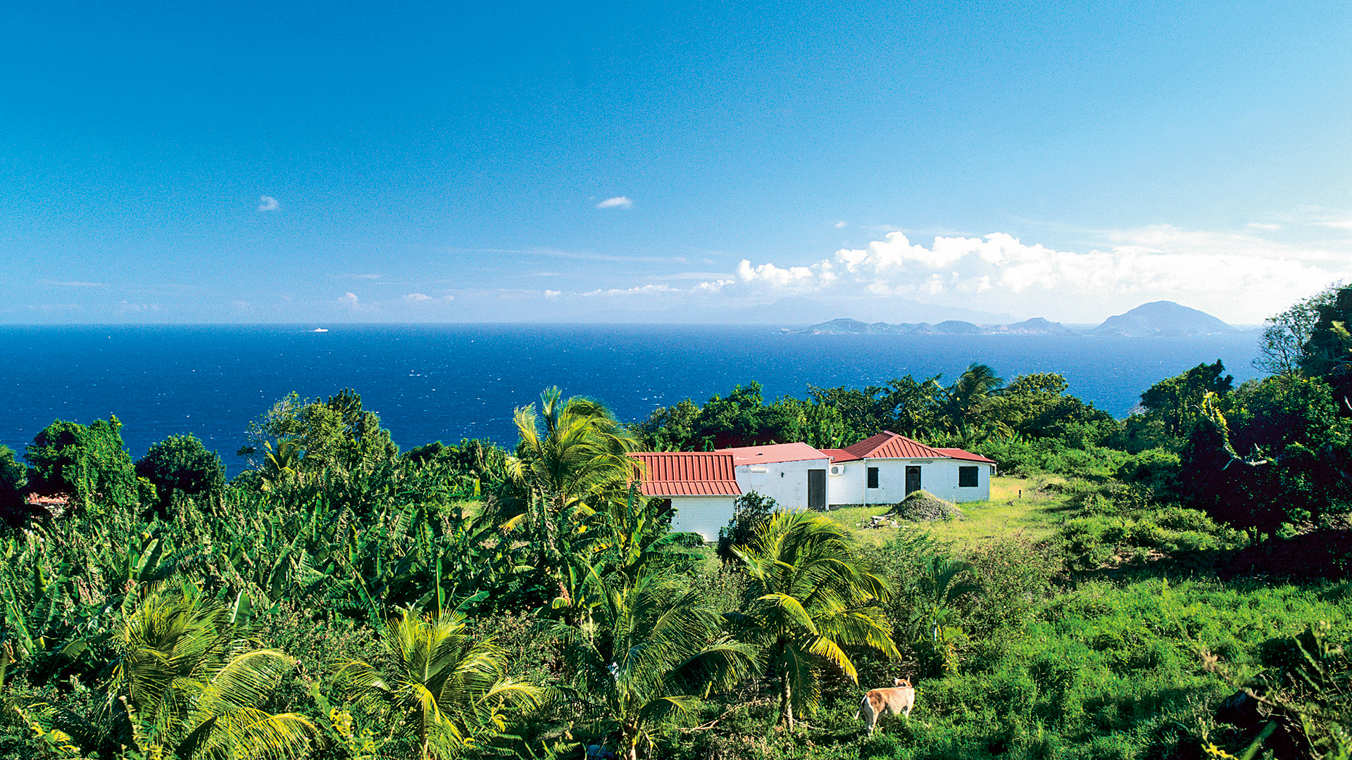 AIDA Karibische Inseln ab Dominikanische Republik