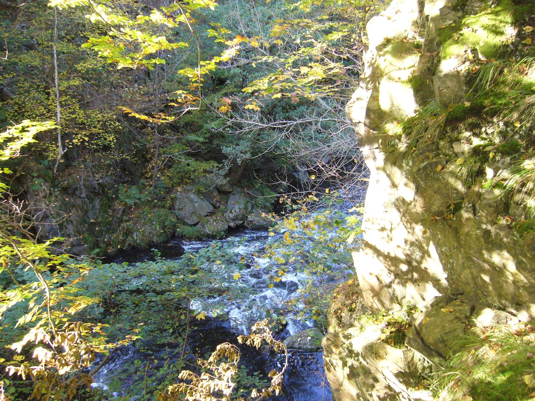 091010_Harz_Bode_003.jpg