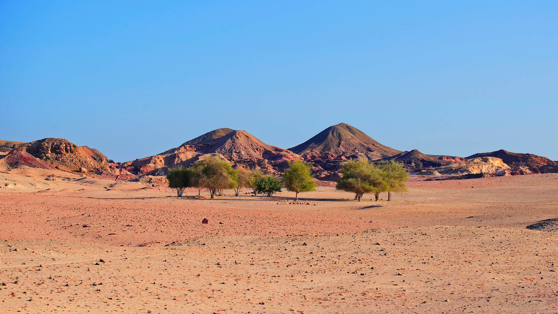 AIDA Große Orient-Reise ab Dubai