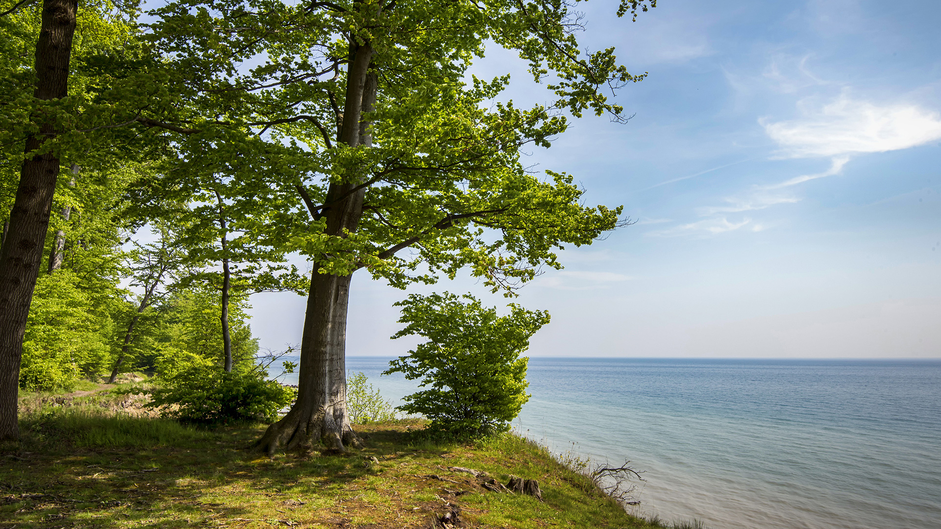 AIDA Kurzreise nach Dänemark ab Kiel 2