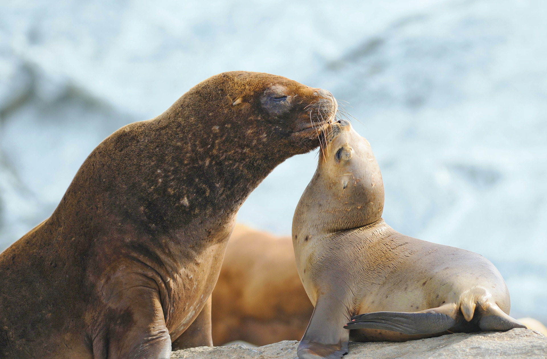 AIDA Weltreise 2026 / 2027