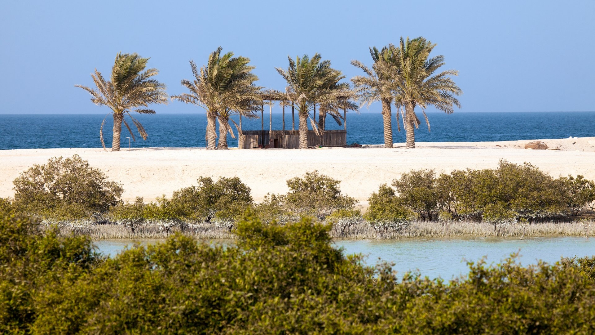 AIDA Orient ab Abu Dhabi