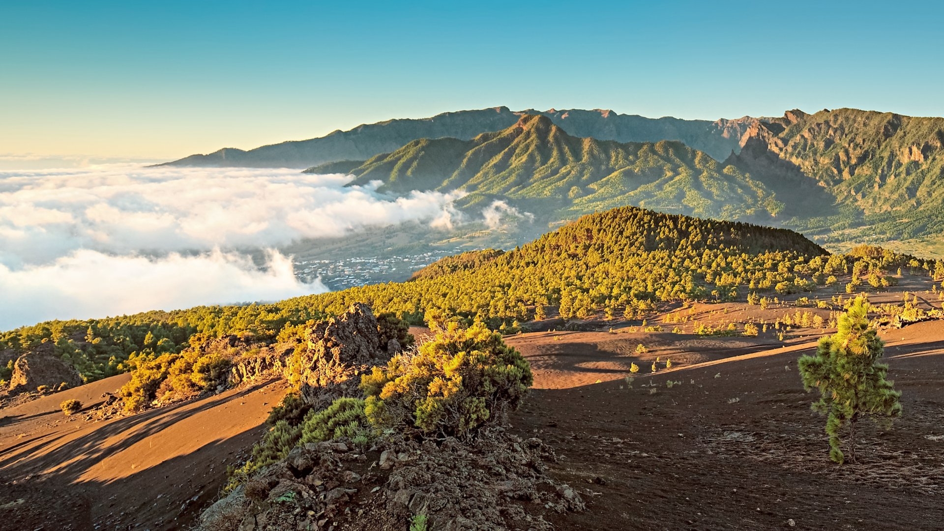 AIDA Kanaren & Madeira ab Gran Canaria 2