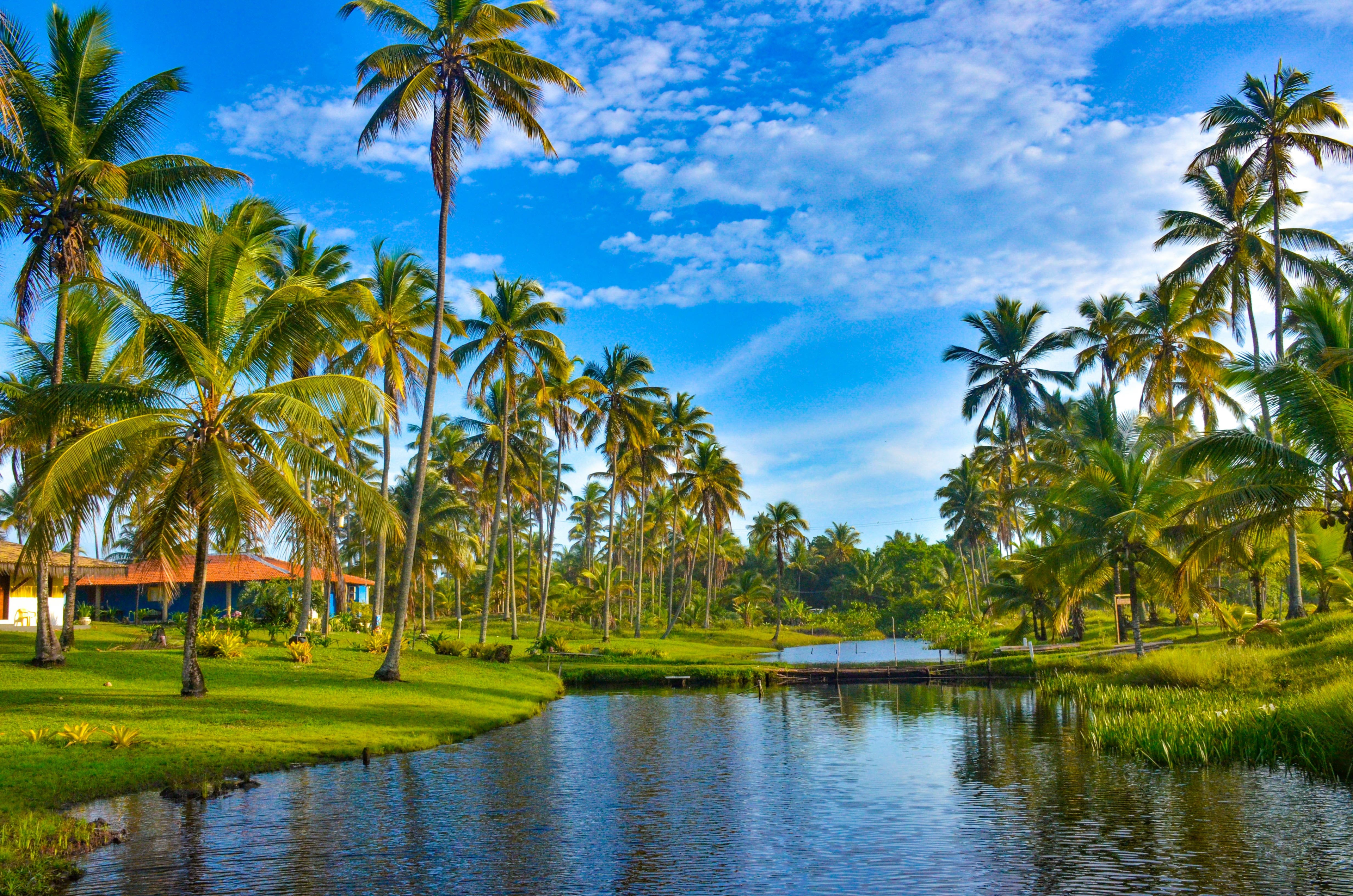 AIDA Weltreise 2026 / 2027