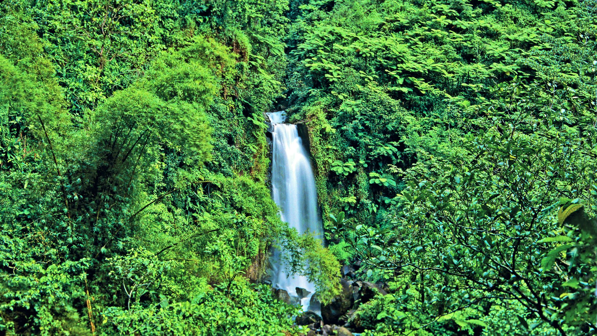 AIDA Weltreise 2026 / 2027