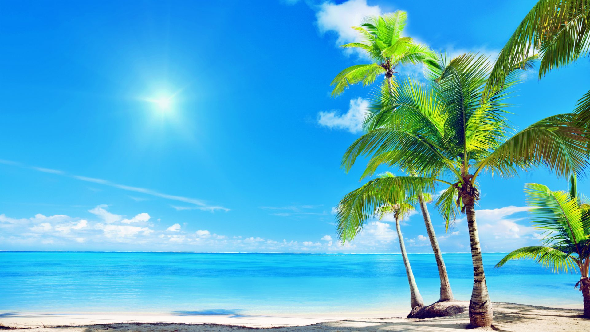 AIDA Weltreise 2026 / 2027