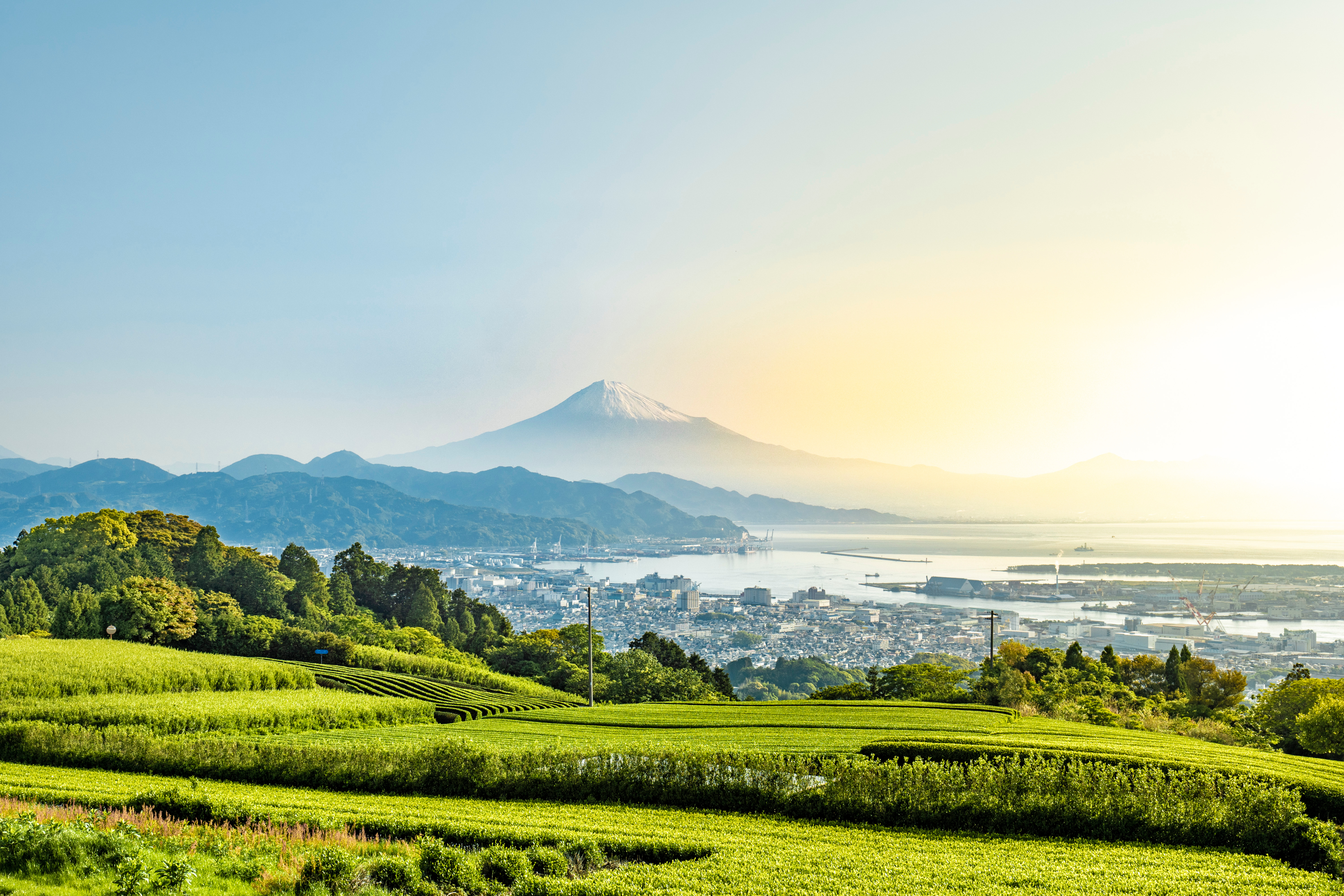 AIDA Weltreise 2025 / 2026 mit Beratung