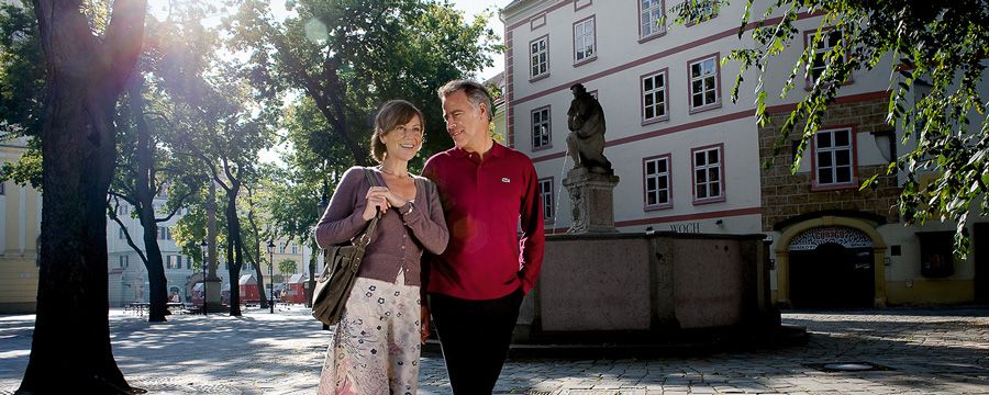 Donau Kurz-Kreuzfahrt Wien & Bratislava 2023