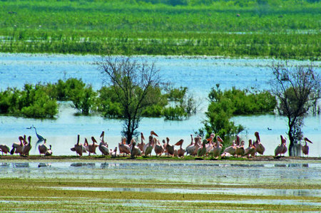 Flusskreuzfahrt Donau bis Donaudelta All Inclusive