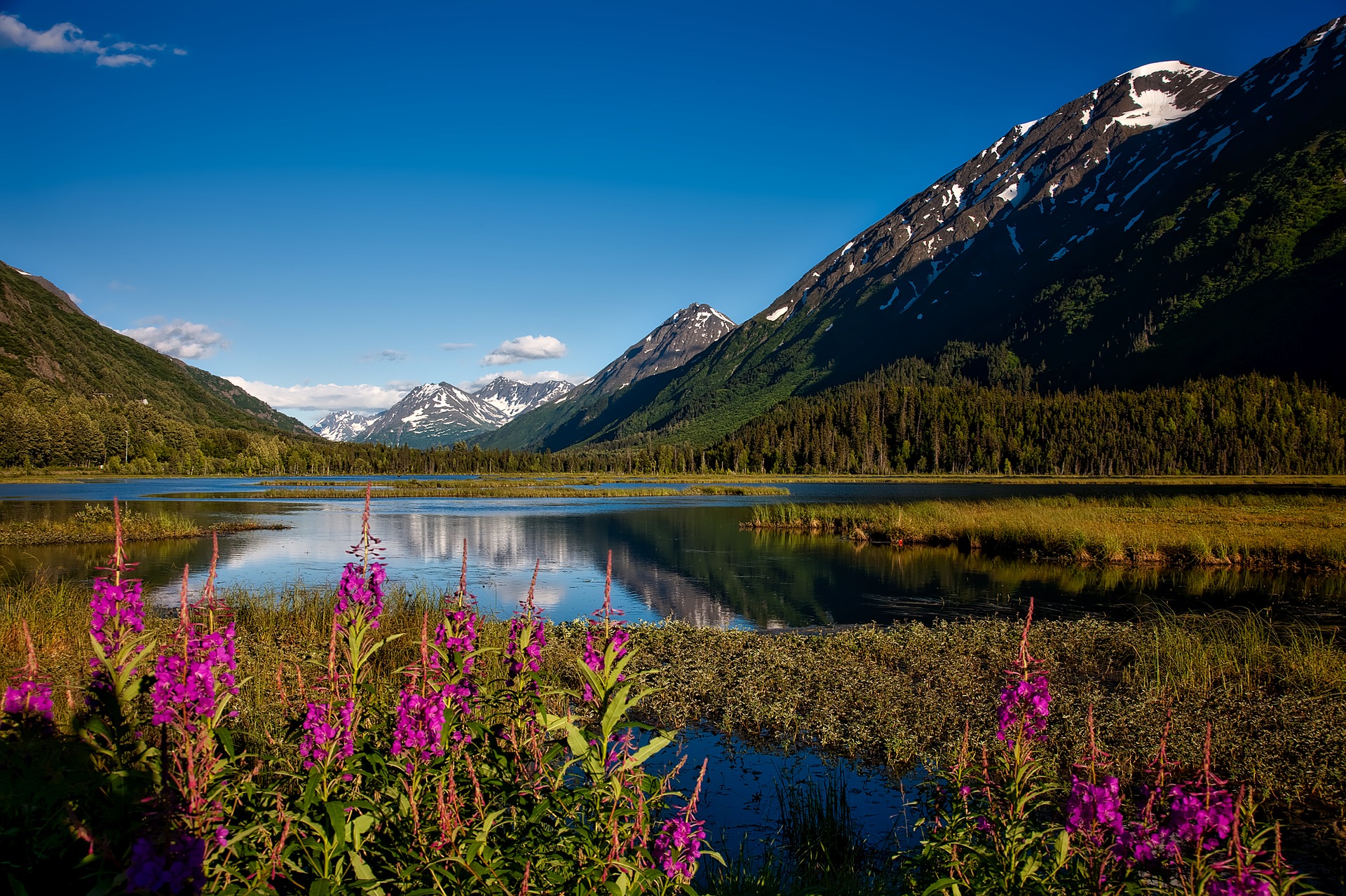 chugach-national-forest-1622635_1920.jpg